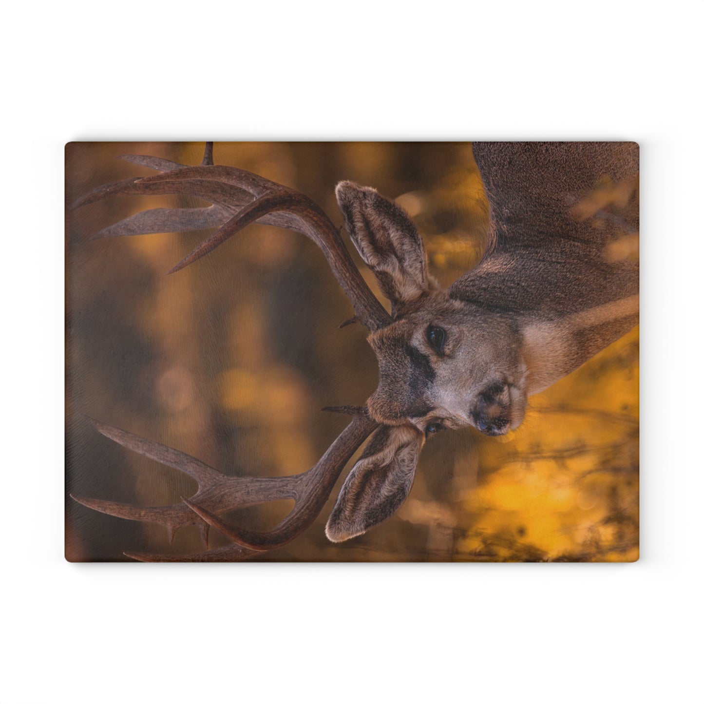 "NOVEMBER GOLD" BUCK MULE DEER - CUTTING BOARD