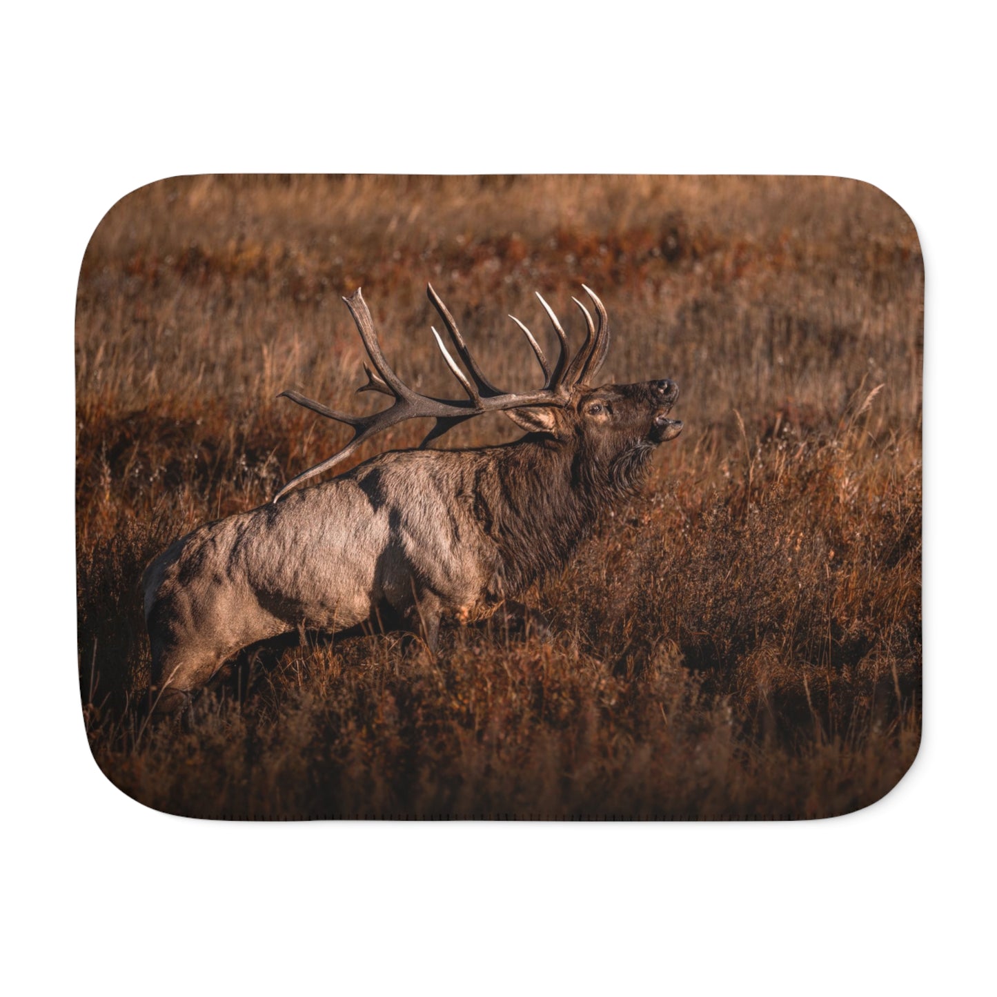 "BUGLE" BULL ELK - FLEECE BLANKET