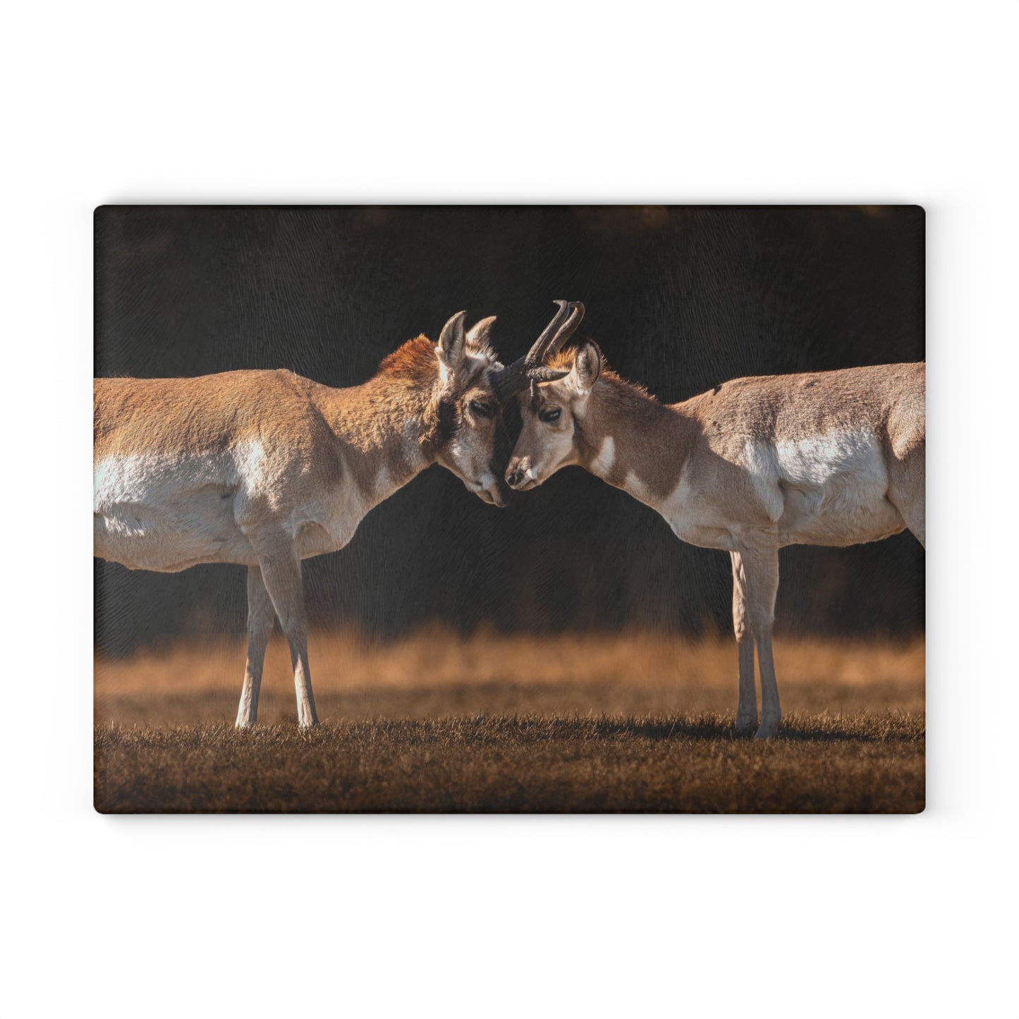 "LOVE OF A PRONGHORN" PRONGHORN - CUTTING BOARD