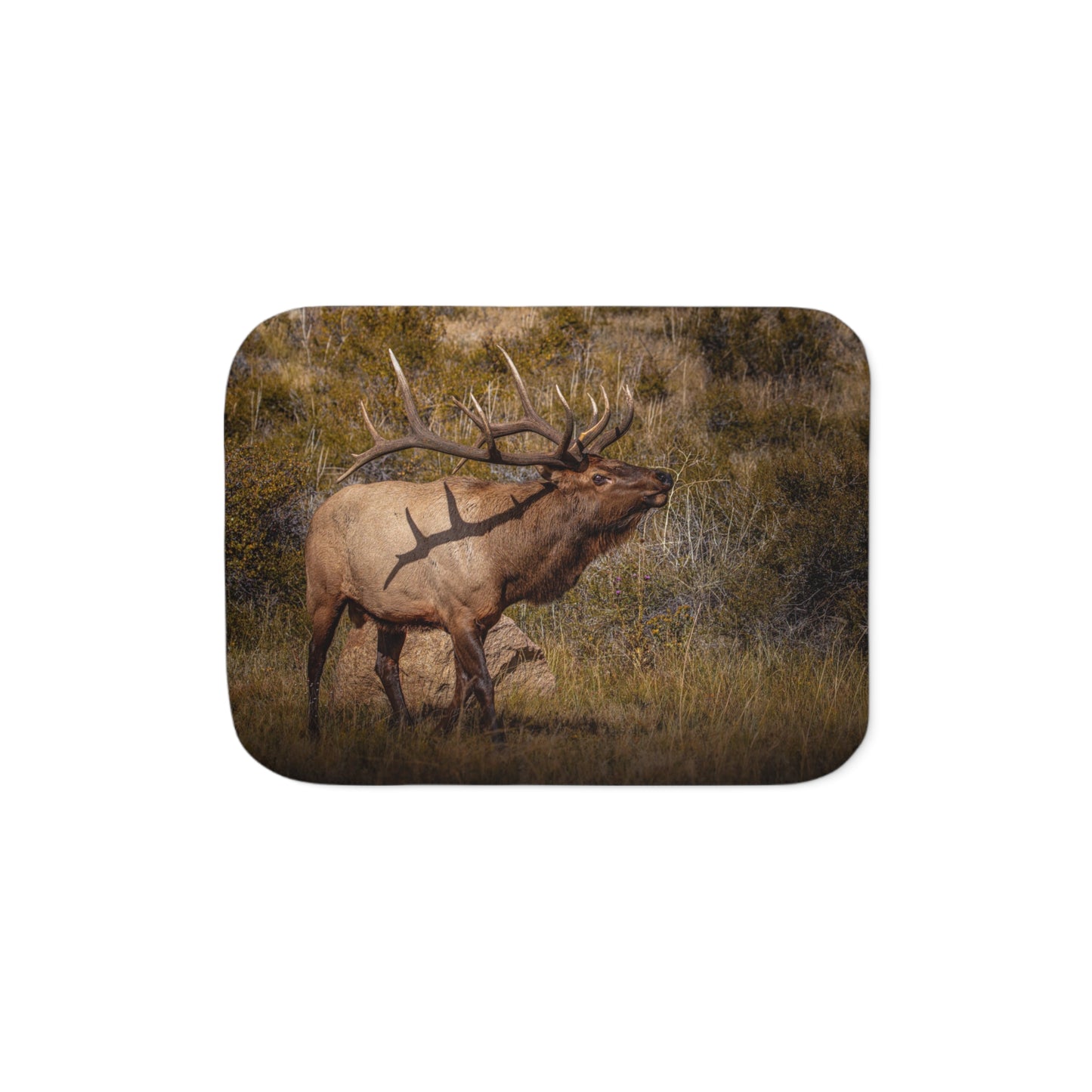 "TATTED" BULL ELK - FLEECE BLANKET