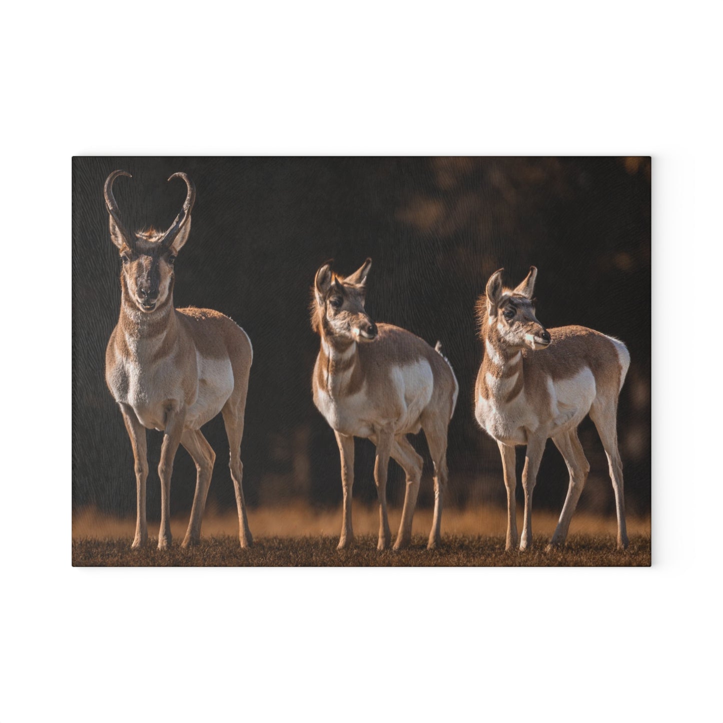 "FAMILY OF THREE" PRONGHORN - CUTTING BOARD