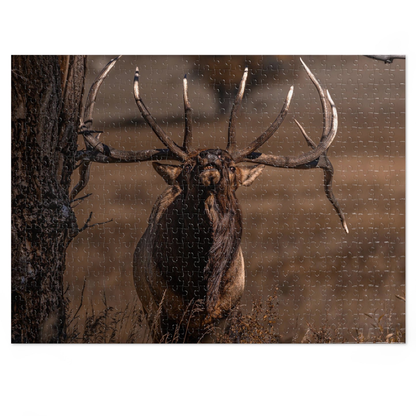 "ATTITUDE" BULL ELK - PUZZLE