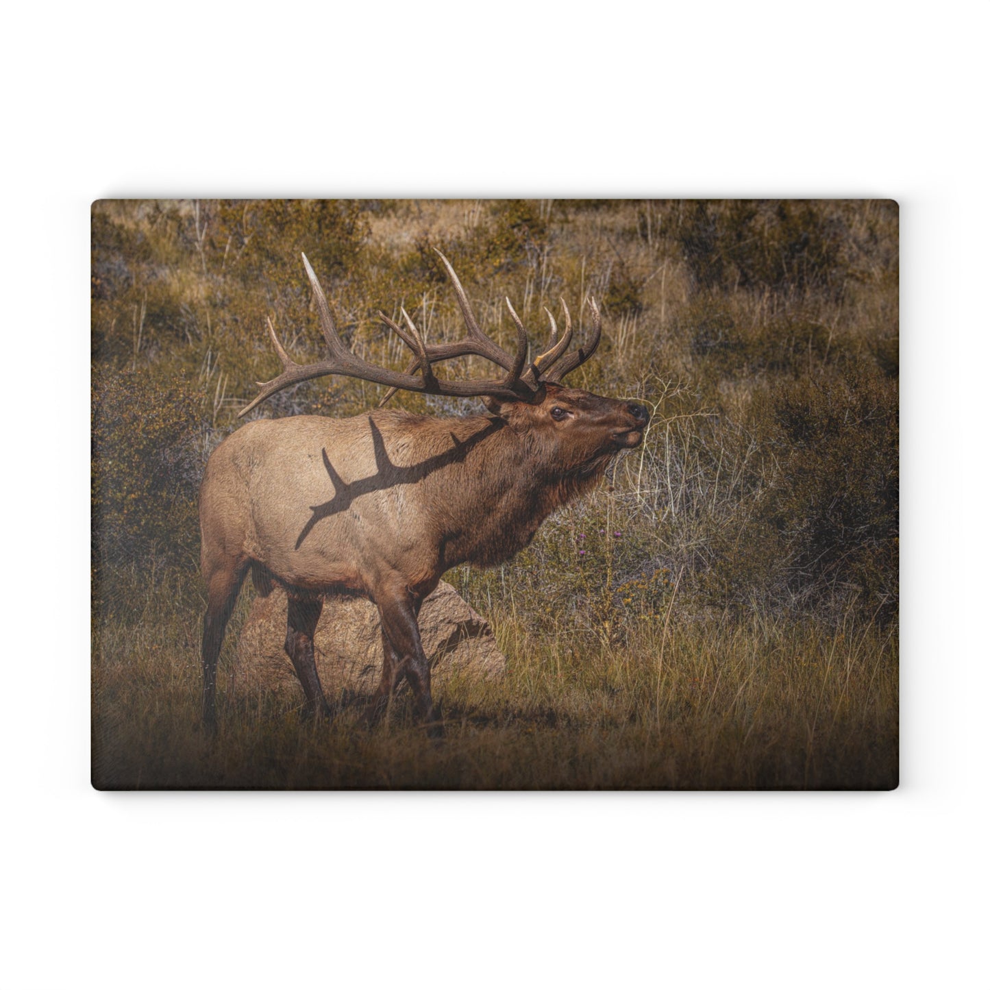 "TATTED" BULL ELK CUTTING BOARD