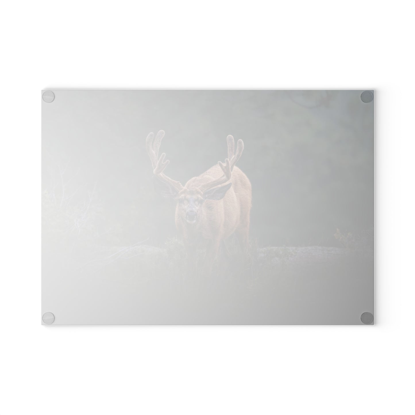 "HIGH ALERT" BUCK MULE DEER - CUTTING BOARD