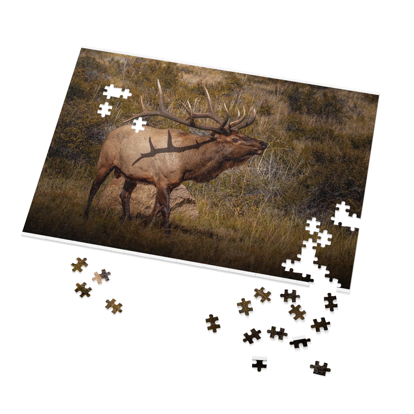 "TATTED" BULL ELK - PUZZLE