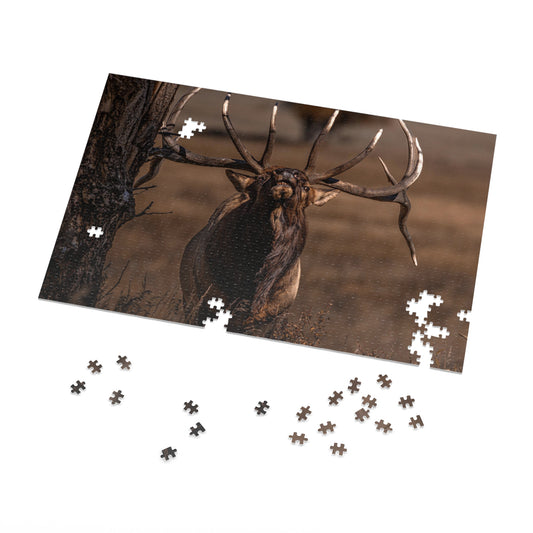 "ATTITUDE" BULL ELK - PUZZLE