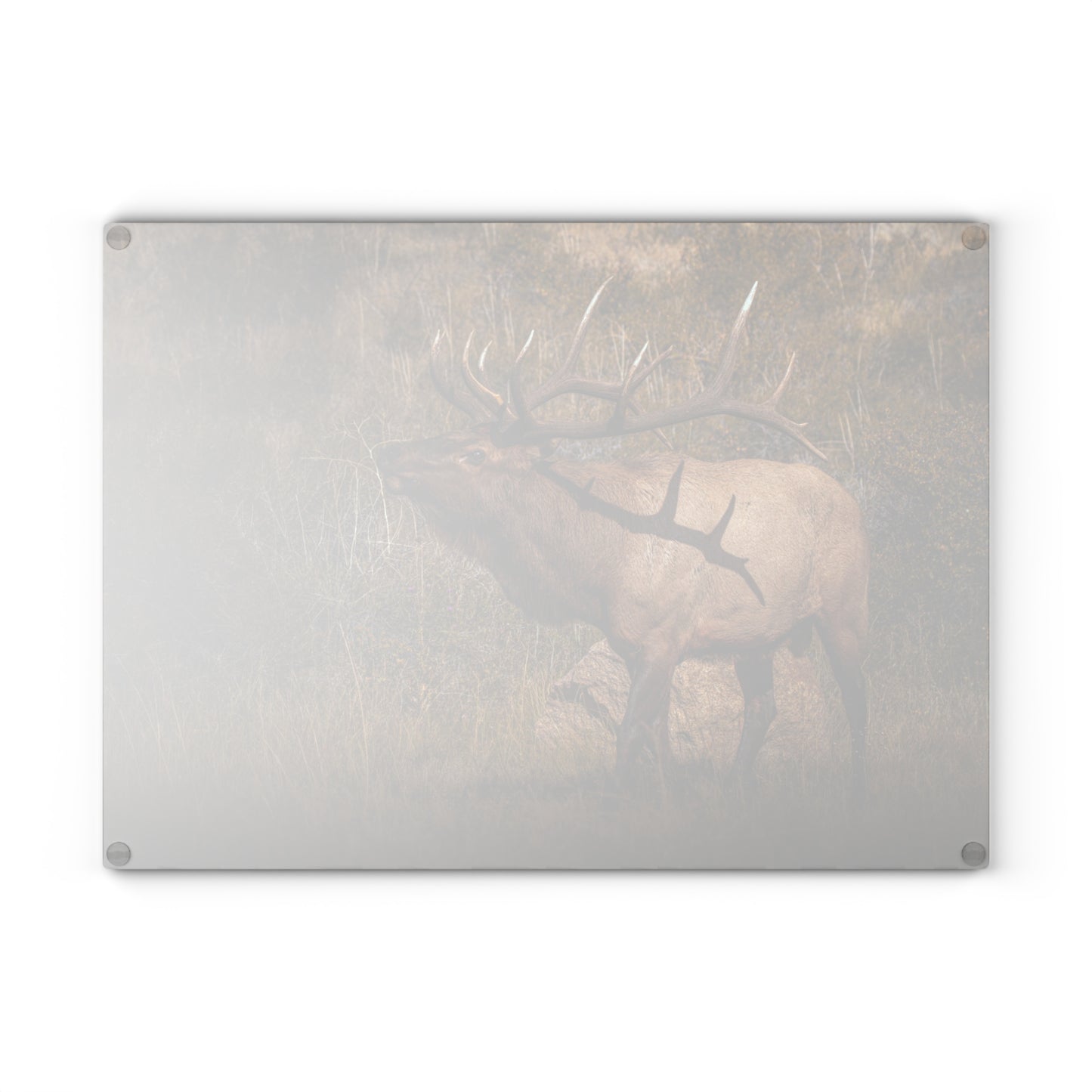 "TATTED" BULL ELK CUTTING BOARD